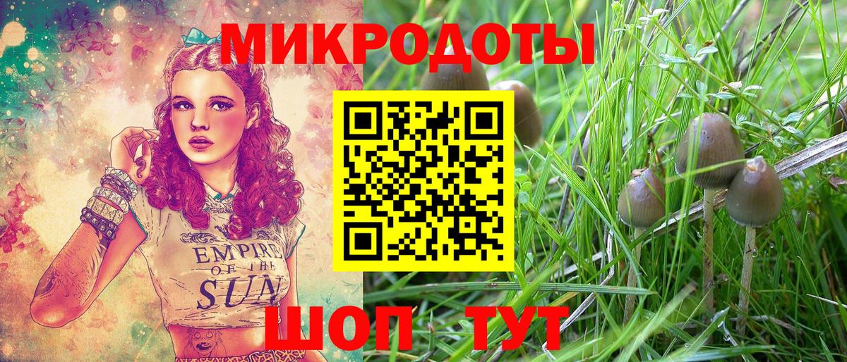 Кудымкар  Галлюциногенные грибы Cubensis  Вход с VPN 